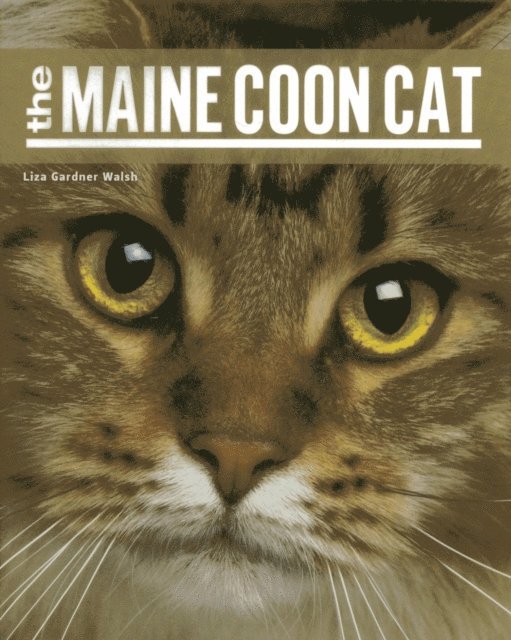 Liza Gardner Walsh - Maine Coon Cat, E-bok