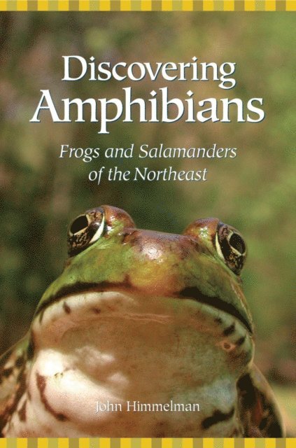 John Himmelman - Discovering Amphibians, E-bok