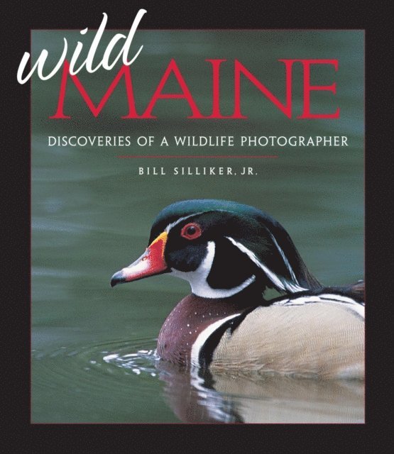 Bill Silliker - Wild Maine, E-bok