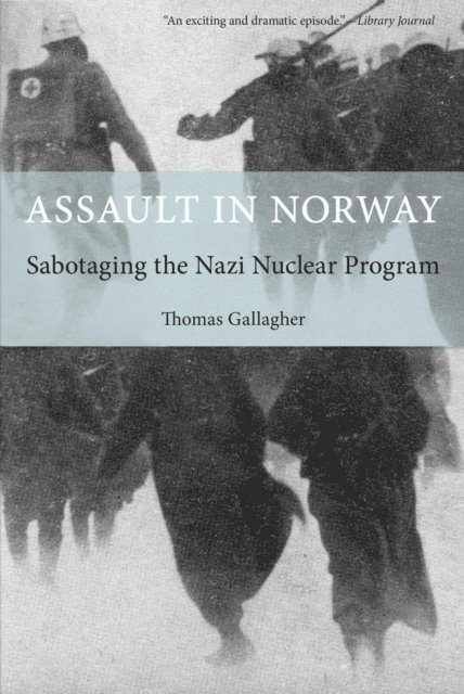 Thomas Gallagher - Assault in Norway, E-bok