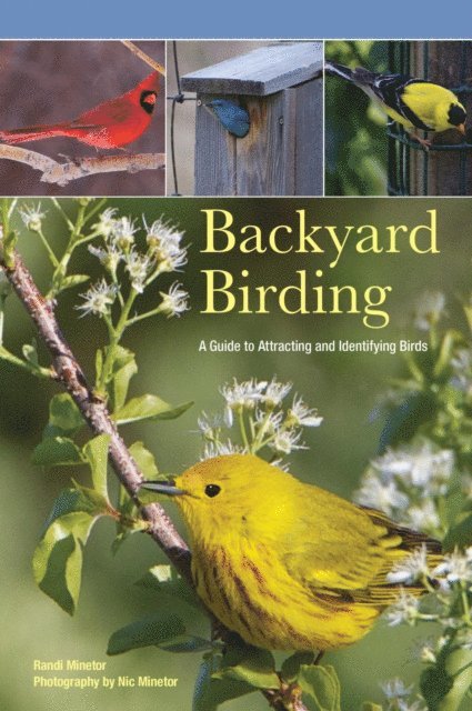 Randi Minetor - Backyard Birding, E-bok