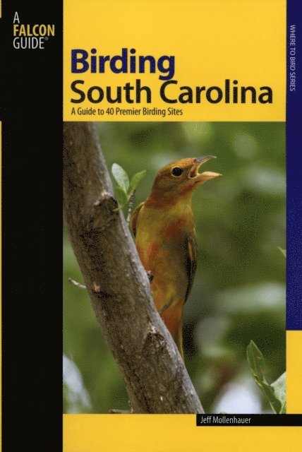 Jeff Mollenhauer - Birding South Carolina, E-bok