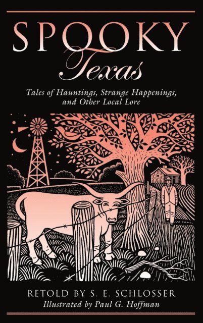 S. E. Schlosser - Spooky Texas, E-bok