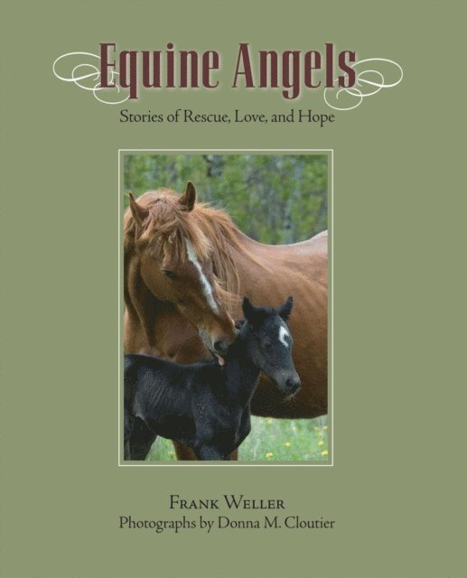 Frank Weller - Equine Angels, E-bok