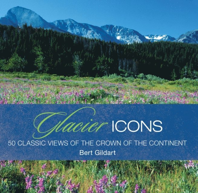 Jane Gildart - Glacier Icons, E-bok. Tillgänglighet: Lägg i varukorg
