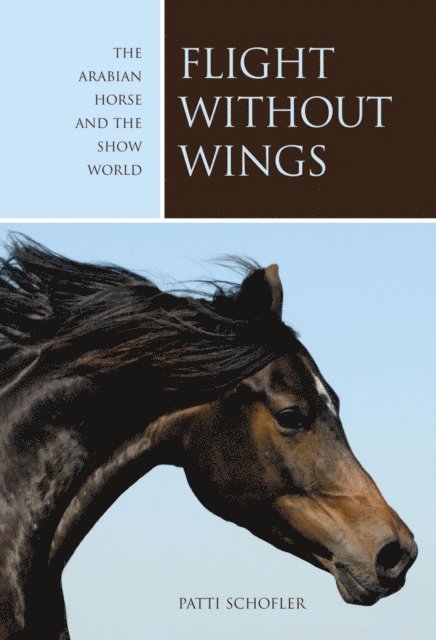 Flight without Wings