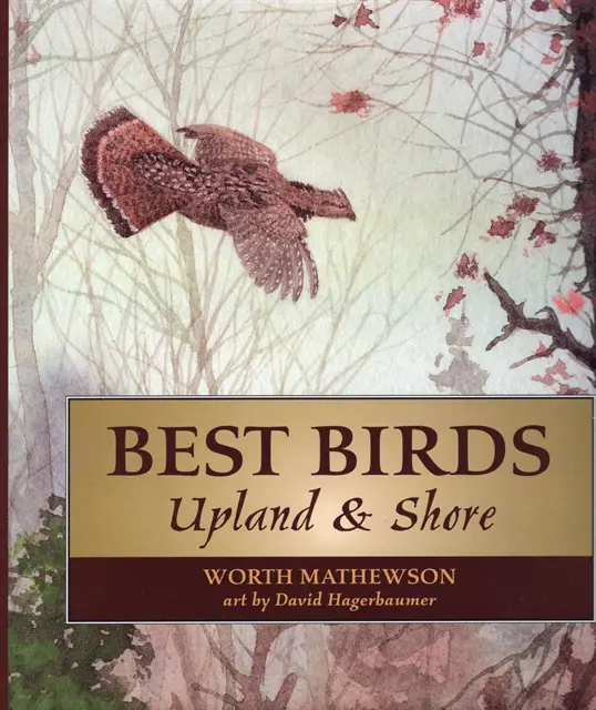 David Hagerbaumer, Worth Mathewson - Best Birds Upland and Shore, E-bok. Tillgänglighet: Lägg i varukorg