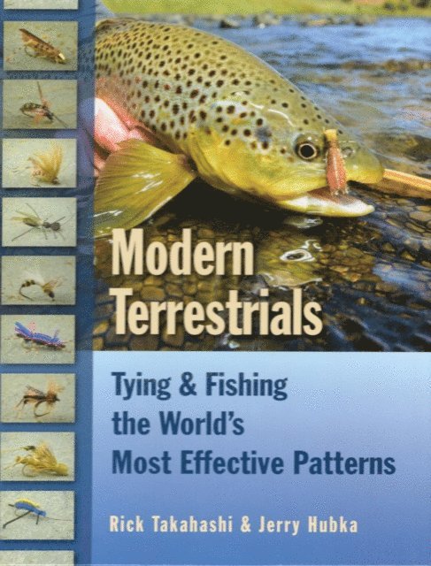 Jerry Hubka, Rick Takahashi - Modern Terrestrials, E-bok