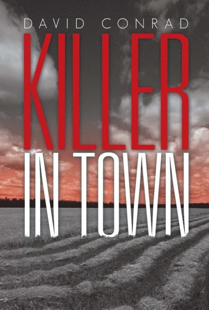 David Conrad - Killer in Town, E-bok