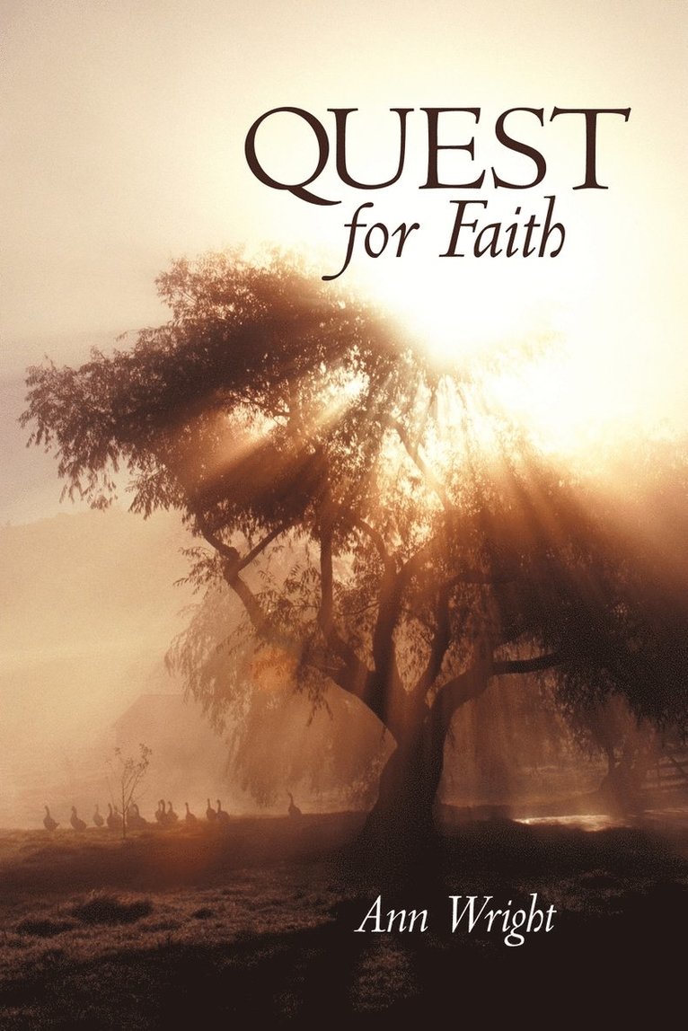 Ann Wright - Quest for Faith, Häftad