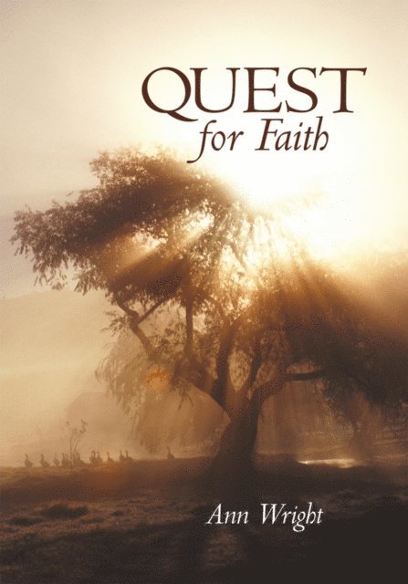 Ann Wright - Quest for Faith, E-bok