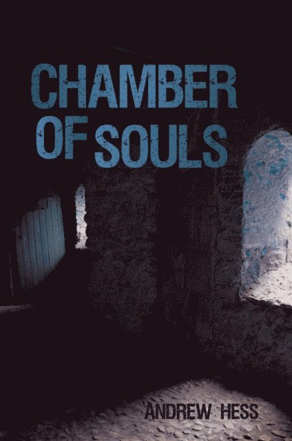 Andrew Hess - Chamber of Souls, E-bok