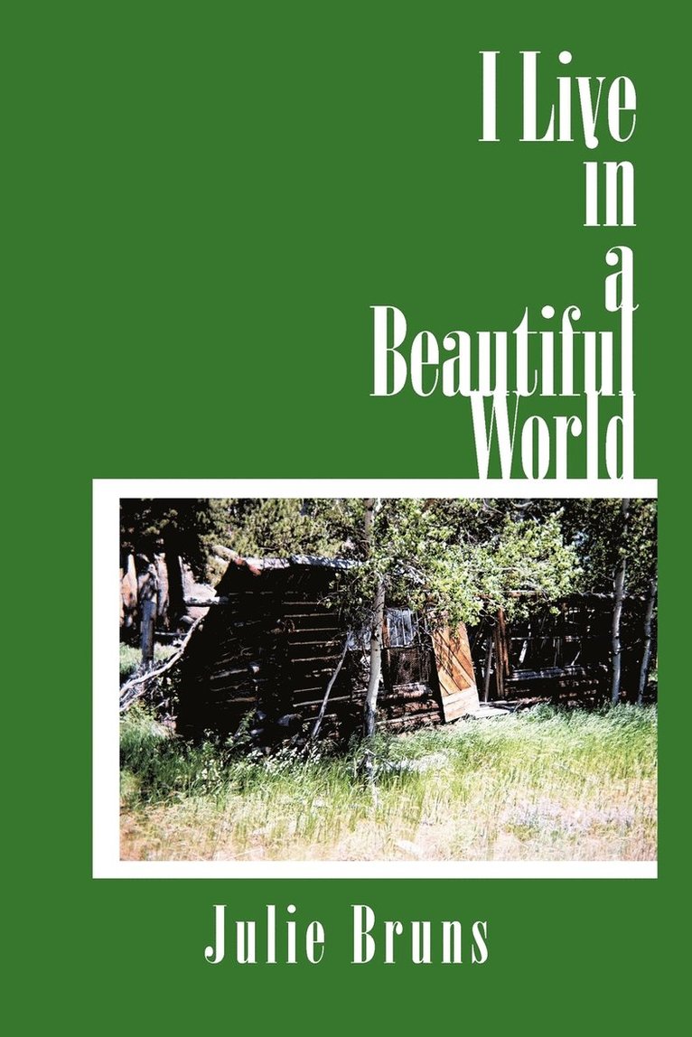 Julie Bruns - I Live in a Beautiful World, Häftad