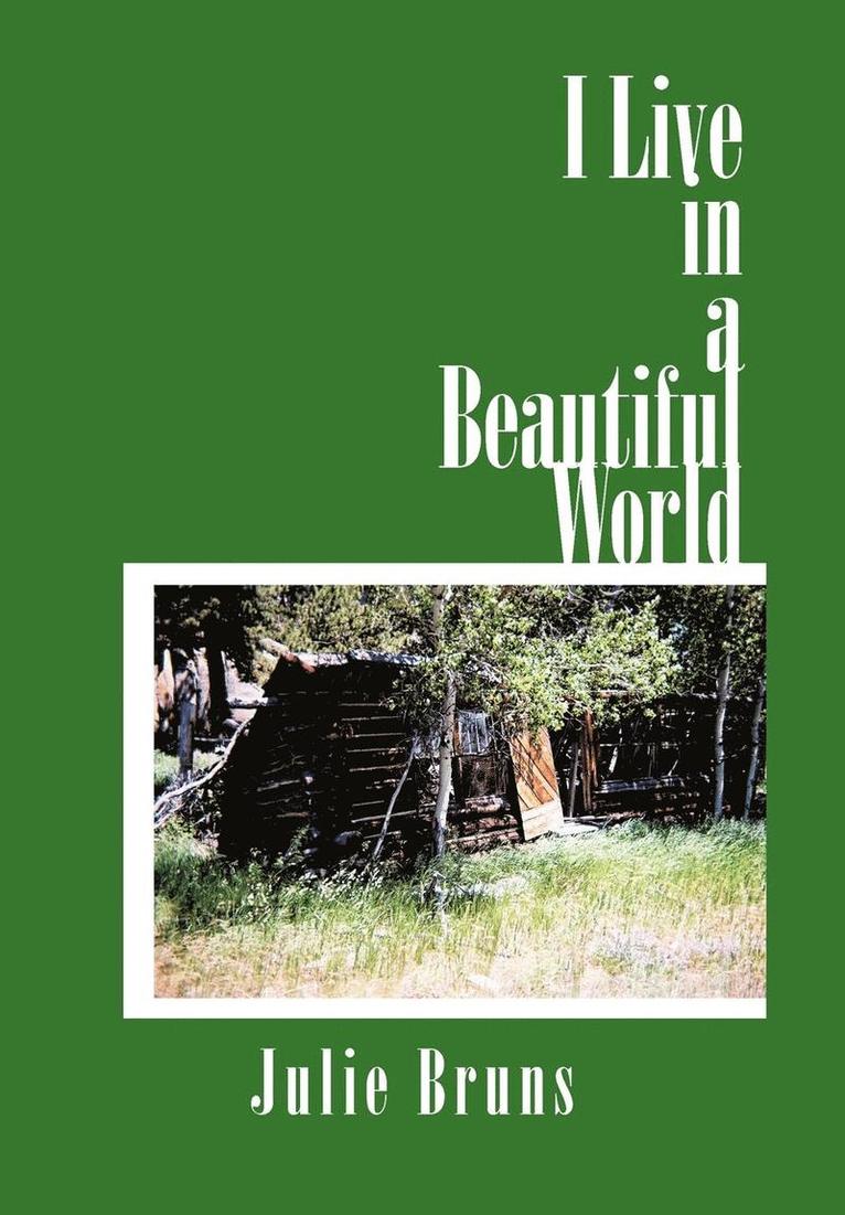 Julie Bruns - I Live in a Beautiful World, Inbunden