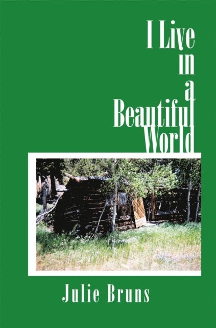 Julie Bruns - I Live in a Beautiful World, E-bok