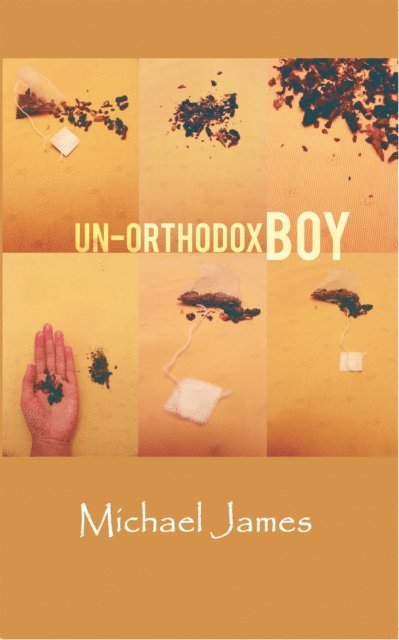 Michael James - Un-Orthodox Boy, E-bok