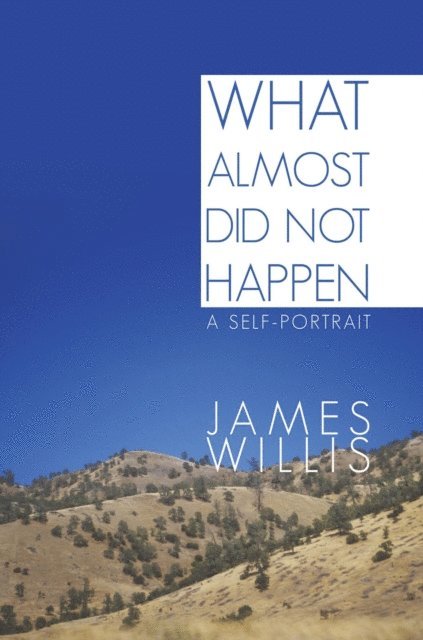 James Willis - What Almost Did Not Happen, E-bok