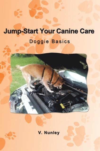 Jump-Start Your Canine Care