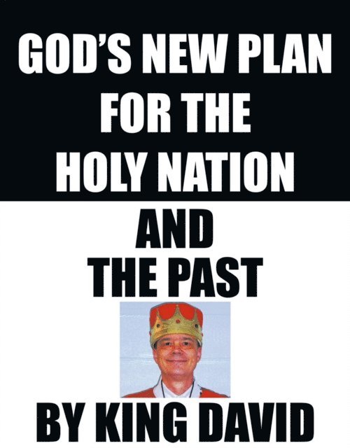 King David - God's New Plan for the Holy Nation and the Past, E-bok