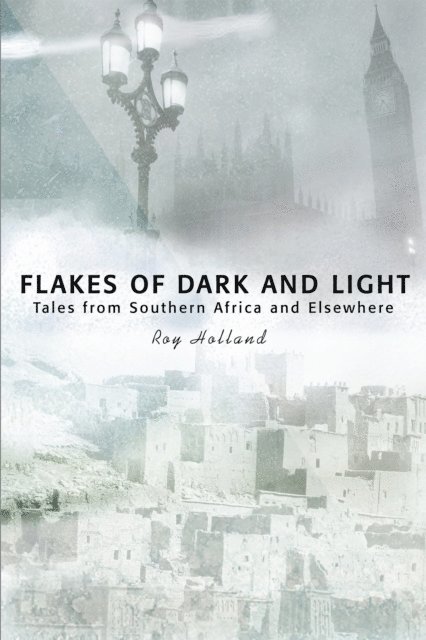 Roy Holland - Flakes of Dark and Light, E-bok