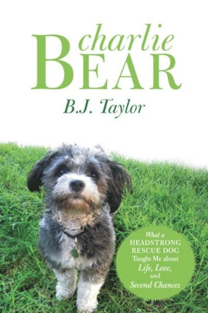 B.J. Taylor - Charlie Bear, E-bok. Tillgänglighet: Lägg i varukorg