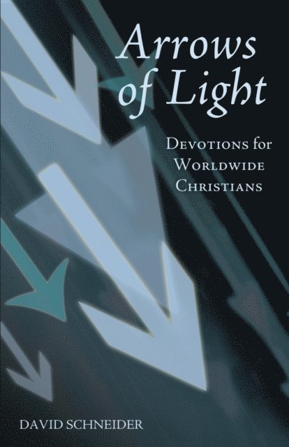 David Schneider - Arrows of Light, E-bok