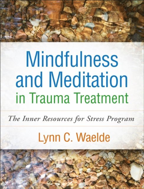 Lynn C. Waelde - Mindfulness and Meditation in Trauma Treatment, E-bok