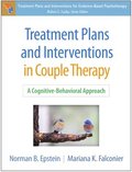 Treatment Plans and Interventions in Couple Therapy