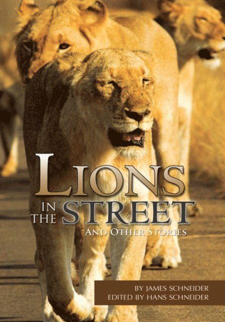 James Schneider - Lions in the Street, E-bok