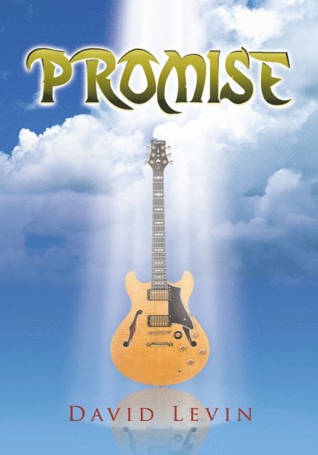 David Levin - Promise, E-bok