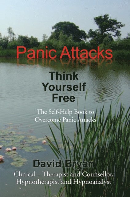 David Bryan - Panic Attacks Think Yourself Free, E-bok