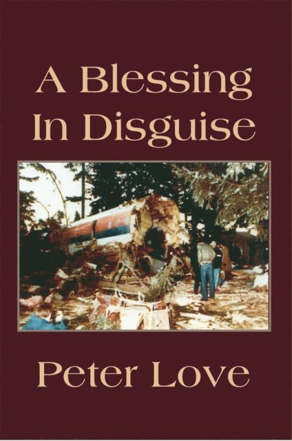Peter Love - Blessing in Disguise, E-bok