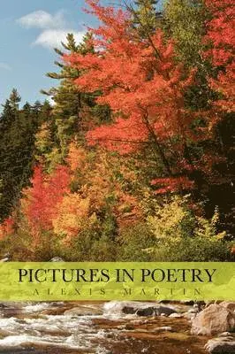 Alexis Martin - Pictures in Poetry, Häftad. Tillgänglighet: Lägg i varukorg