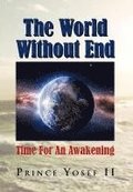 The World Without End