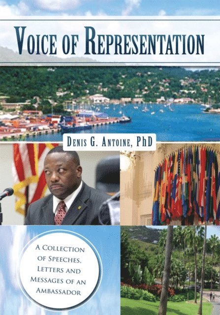 Denis G. Antoine - Voice of Representation, E-bok