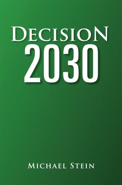 Michael Stein - Decision 2030, E-bok