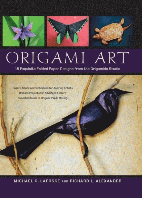 Richard L. Alexander, Michael G. Lafosse - Origami Art, E-bok