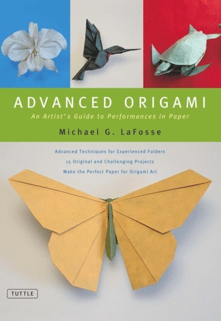 Michael G. LaFosse - Advanced Origami, E-bok