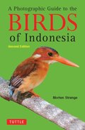 Photographic Guide to the Birds of Indonesia