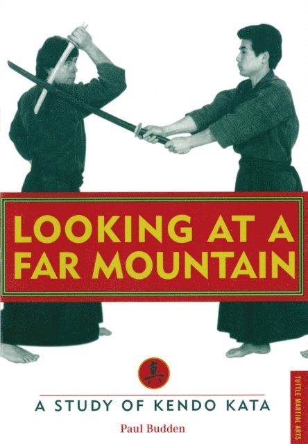 Paul Budden - Looking at a Far Mountain - Revisited, E-bok