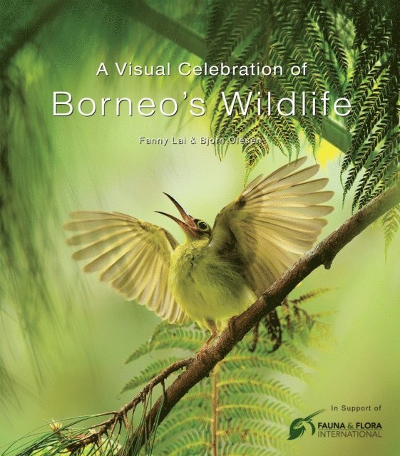 Bjorn Olesen, Fanny Lai - Visual Celebration of Borneo's Wildlife, E-bok