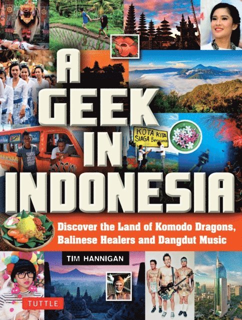 Tim Hannigan - Geek in Indonesia, E-bok