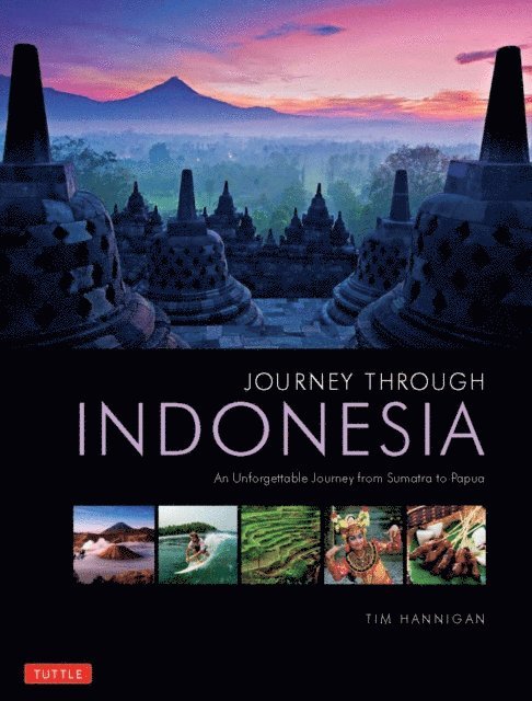 Tim Hannigan - Journey Through Indonesia, E-bok