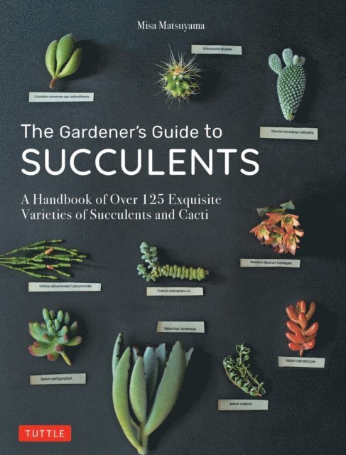 Misa Matsuyama - Gardener's Guide to Succulents, E-bok. Tillgänglighet: Lägg i varukorg