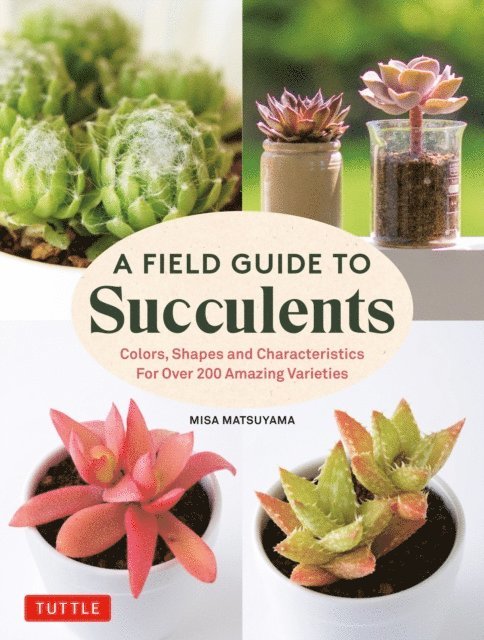 Misa Matsuyama - Field Guide to Succulents, E-bok. Tillgänglighet: Lägg i varukorg