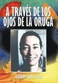 Traves de Los Ojos de La Oruga