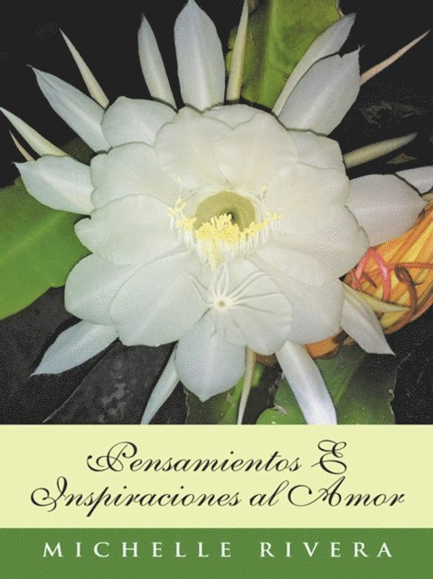 Michelle Rivera - Pensamientos E Inspiraciones Al Amor, E-bok