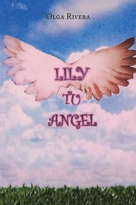Olga Rivera - Lily Tu Angel, Häftad