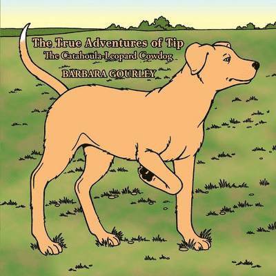 Barbara Gourley - True Adventures of Tip The Catahoula-Leopard Cowdog, Häftad