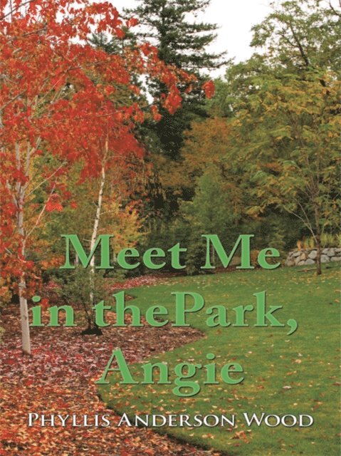 Phyllis Anderson Wood - Meet Me in the Park, Angie, E-bok